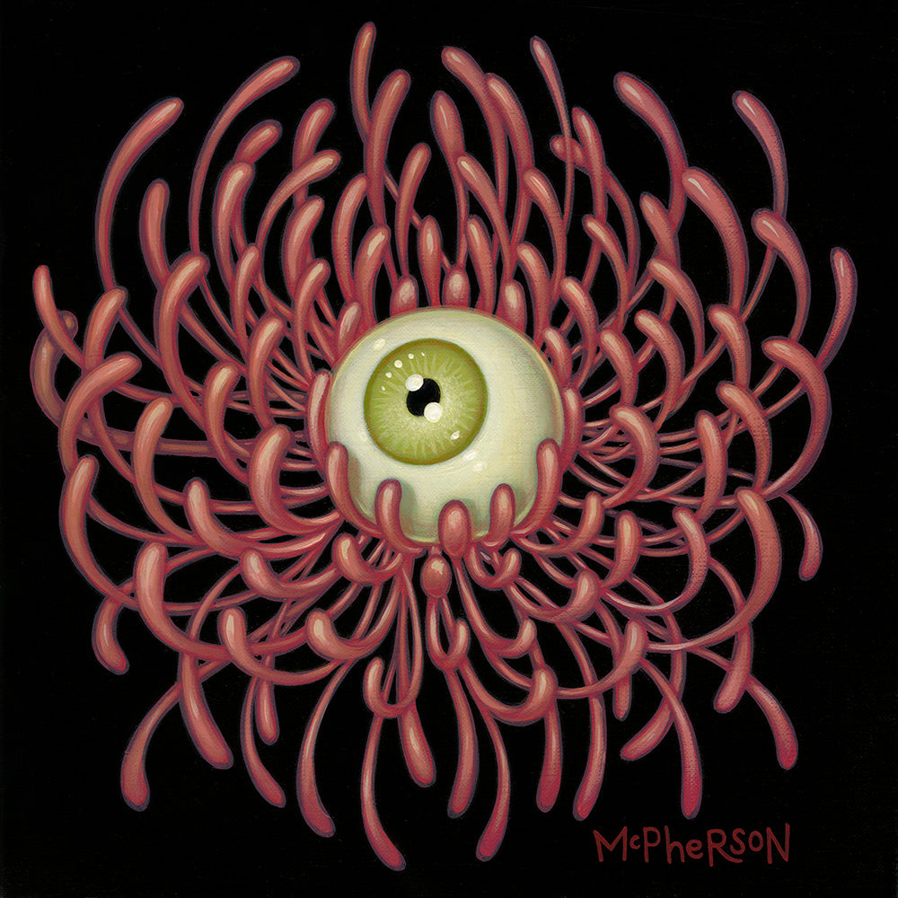 The Day's Eye (Chrysanthemum)